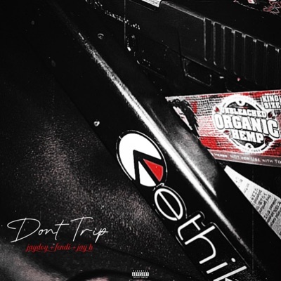 Dont Trip (feat. JayRoy & Fendi Lo) - Single