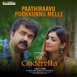 Paathiraavu Pookkunnu Melle (From 