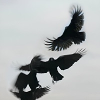 Geekd - Single - bliqky