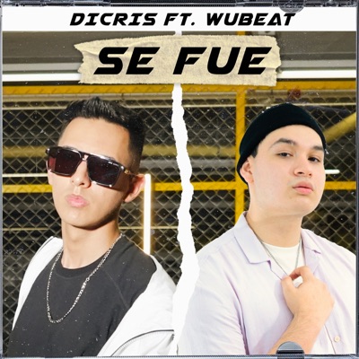Se Fue (feat. Wubeat) - Single