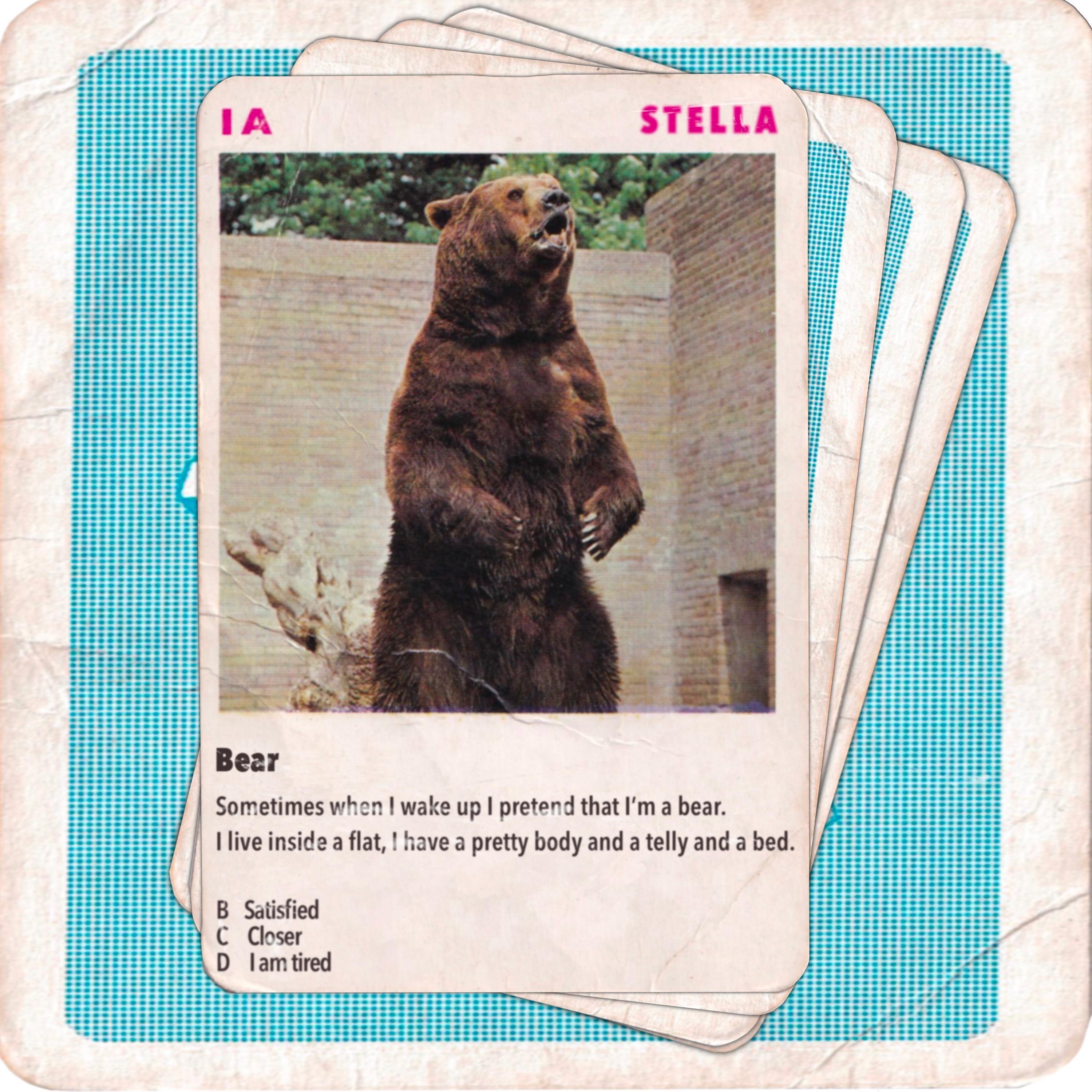 Bear - Single