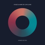 Awake We Stay - Single