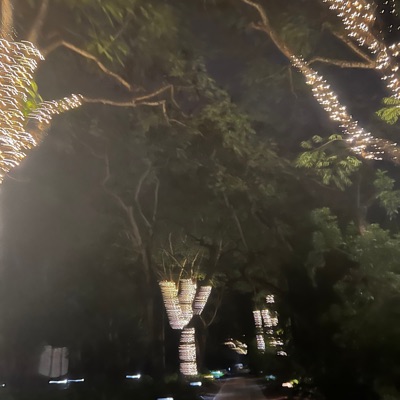 Valley of Lost Souls (528Hz) - Single