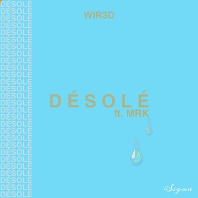 Désolé (feat. M.R.K) - Single