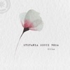 Bruno Duarte  Sola