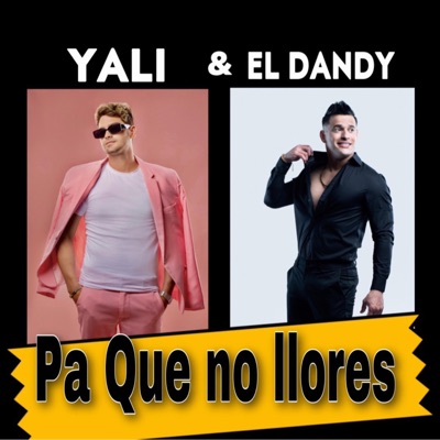 Pa Que No LLores (feat. Yali) - Single