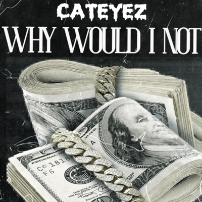 Why Would I Not - Single