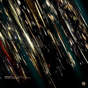 Out of Body / Lazerstorm - Single