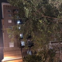 Misery Business - Single - MeekAintShit