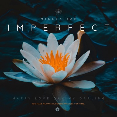 Imperfect - Single