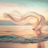 Sound of Flow - Keigo Tanaka