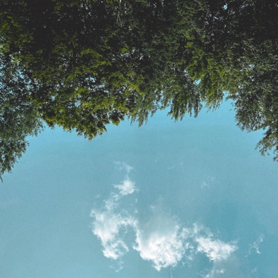 divine (feat. JG) - Single