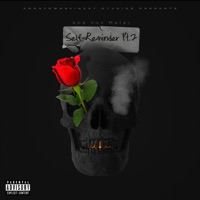 Self-Reminder Pt. 2 - Single - Abe van meter