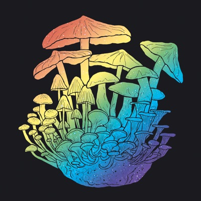 Demokratienpilzkultur - Single