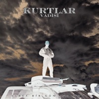 Kurtlar Vadisi - Single - BARO