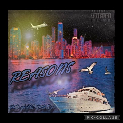 Reasons - Single