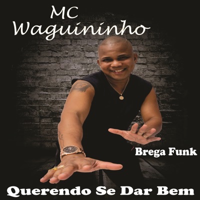 Querendo Se Dar Bem (Brega Funk) - Single