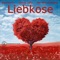 Follow (feat. Jan-Heie Erchinger) - Roman Falke lyrics