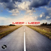 NM PROJECT - Meep (Meep)