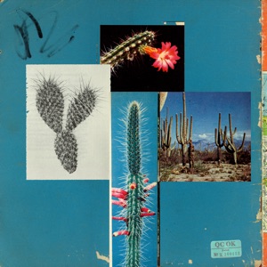Mexico - Single
