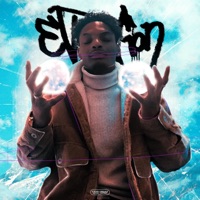 Evolution - Riqo LaRon