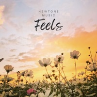 Feels - Single - Swayanshu