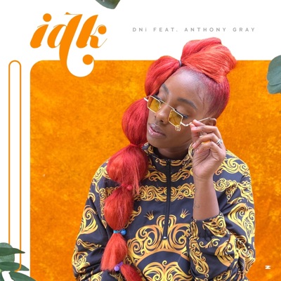 IDK (feat. Anthony Gray) - Single