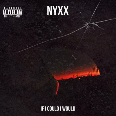 If I could I would - Single