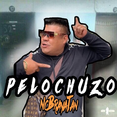 Pelo Chuzo - Single