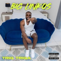 Big Linkos - Single - Trig Triga