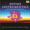 Divine Instrumentals - Various Artists