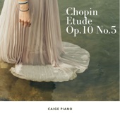 Chopin: Etude Op.10 No.5 artwork