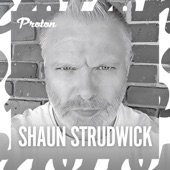 Shadowfax (Mixed) [Mixed] artwork