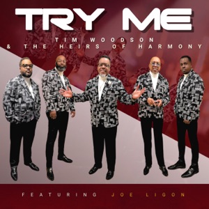 Try Me (feat. Joe Ligon) [Live]
