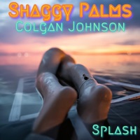 Splash (feat. Colgan Johnson) - Single - Shaggy Palms