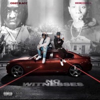 No Witnesses (feat. Ciggy Blacc) - Single - Ozzie Cobain