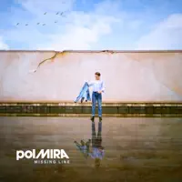 Missing line — Pol Mira
