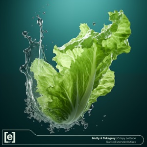Crispy Lettuce - Single