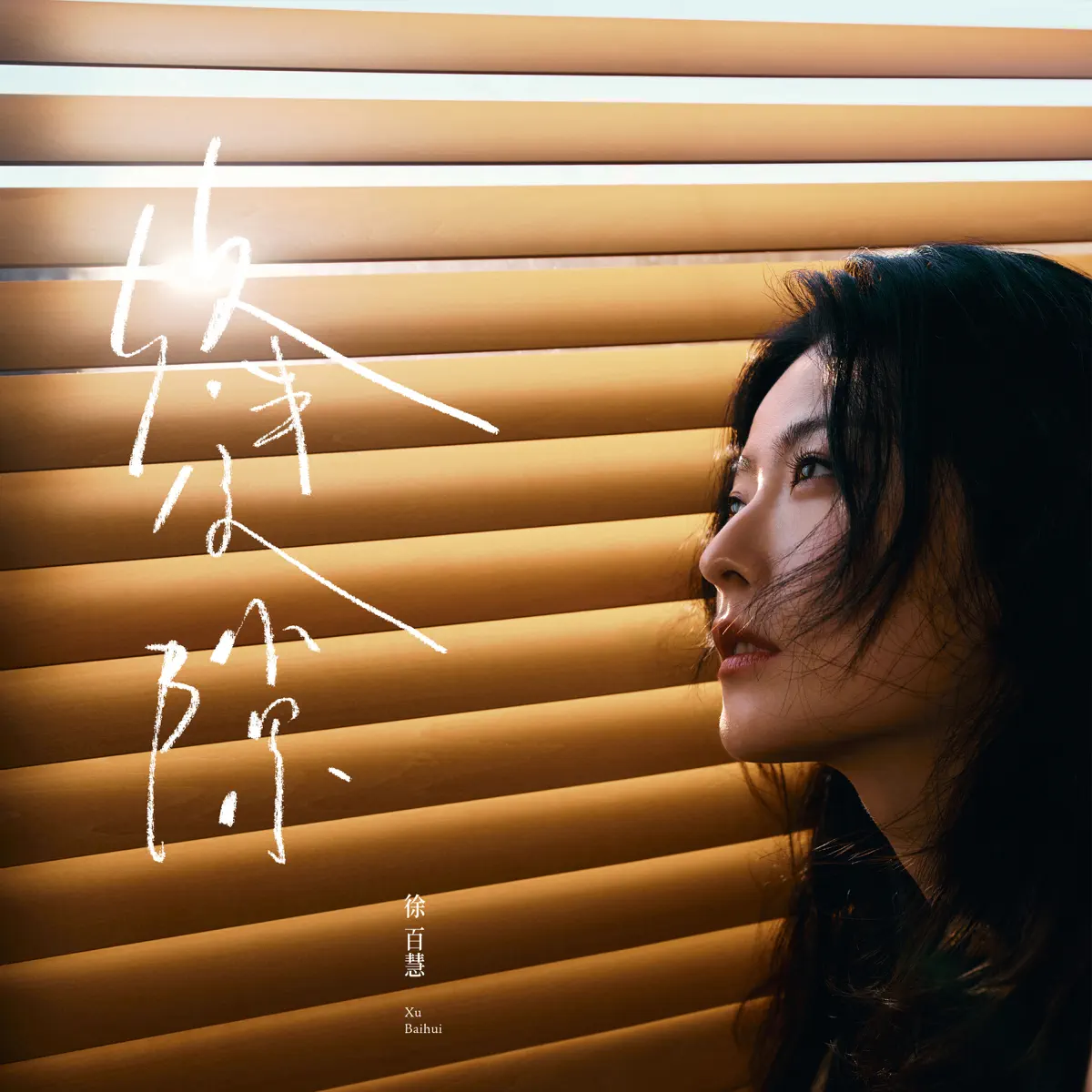 徐百慧 - 縫隙 - Single (2023) [iTunes Plus AAC M4A]-新房子
