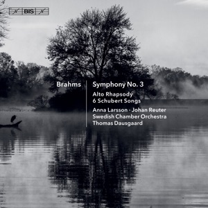 21 Hungarian Dances, WoO 1: No. 12 in D Minor. Presto (Arr. T. Dausgaard for Orchestra)