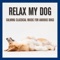 White Noise Machine - Relaxmydog & Dog Music Dreams lyrics