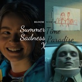 Summertime Sadness X Paradise artwork