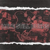 Hate Still Burns - DOWN TO EARTH