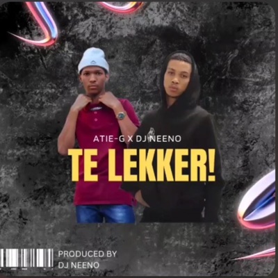 Te Lekker (feat. DJ Neeno) - Single