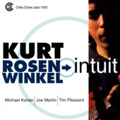 Intuit (feat. Michael Kanan, Joe Martin & Tim Pleasant) artwork