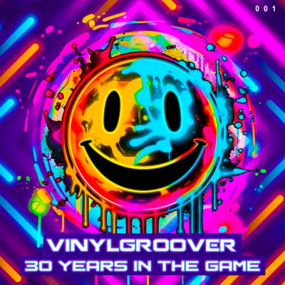 Vinylgroover - 30 Years in the Game