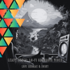 Leafy Tunes: Lo-Fi Cannabis Vibes - LoFi Reggae & Joint