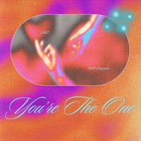 You're The One (feat. Skiffy Kanees) - Single - JAMZ