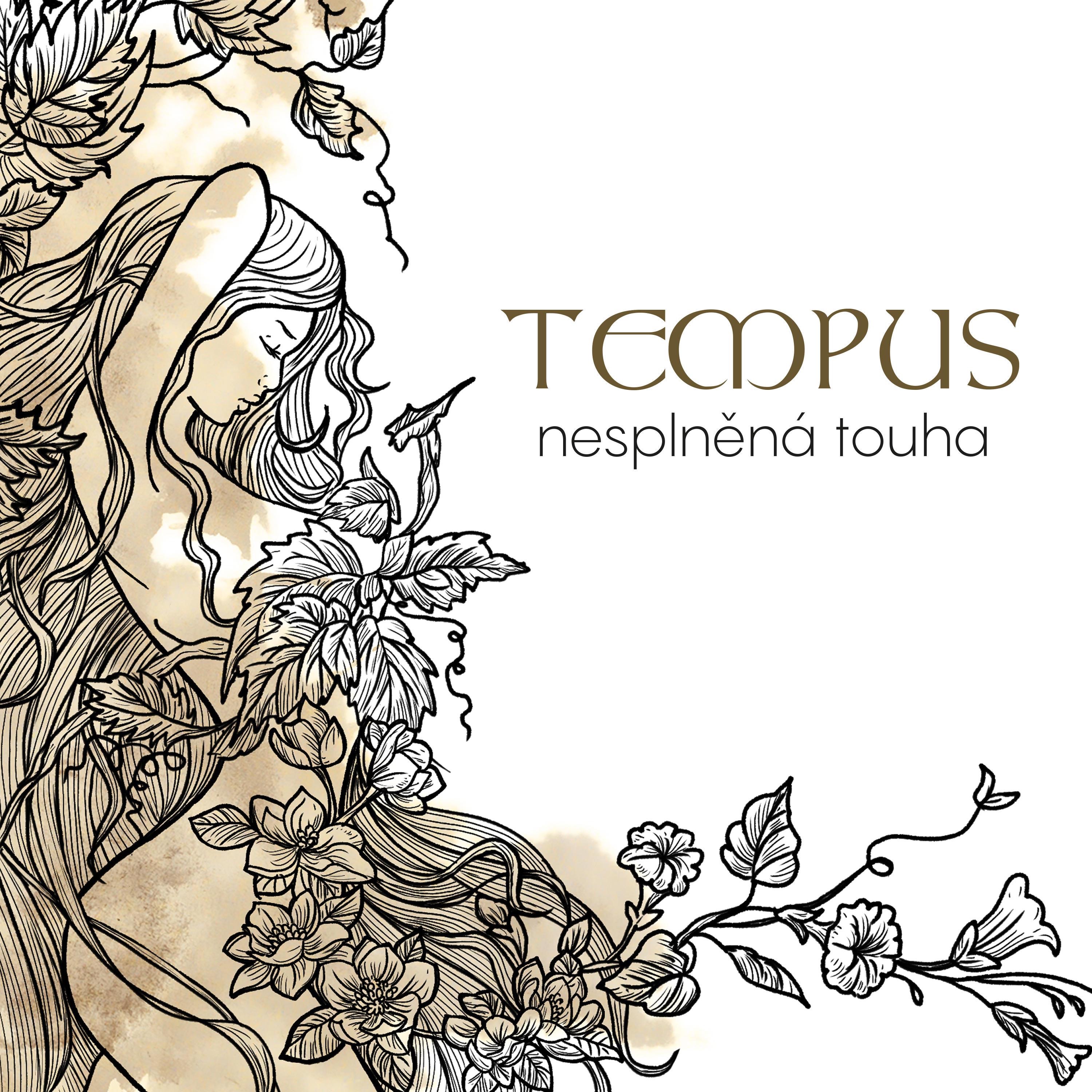 Nesplněná touha - Single