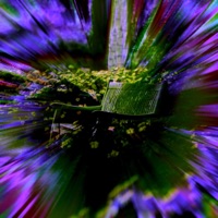 Sitting Next To You - Single - Zaphod Black